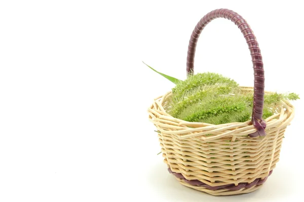 Green ears with a small basket — Stock Photo, Image