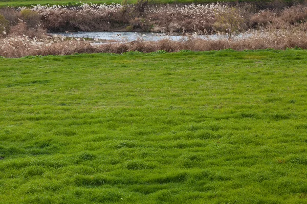 Prado y río a principios de primavera —  Fotos de Stock