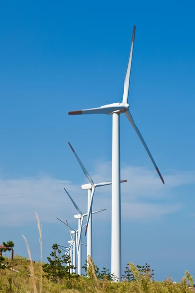 Windpark — Stockfoto