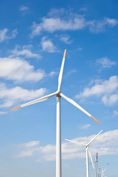 Windpark — Stockfoto