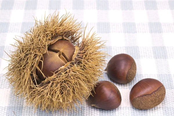 Chestnuts — Stock Photo, Image