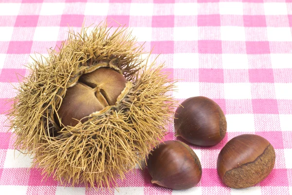 Chestnuts — Stock Photo, Image