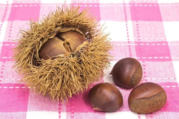 Chestnuts — Stock Photo, Image