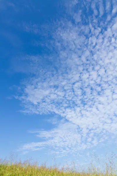 秋天的天空和草地 — 图库照片