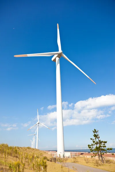 Wind farm — Stock Photo, Image