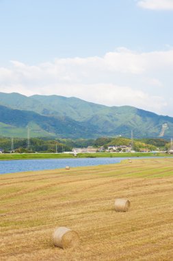 Mera kuru nehir yatağı