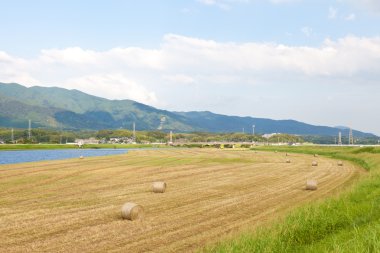 Mera kuru nehir yatağı
