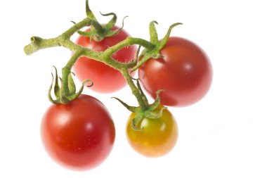 çeri domatesler