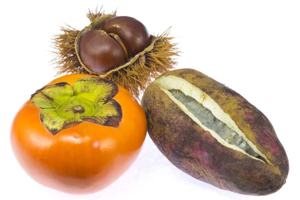 Persimmon chestnut and chocolate vine — Stock Photo, Image
