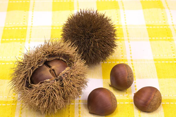 Chestnuts — Stock Photo, Image