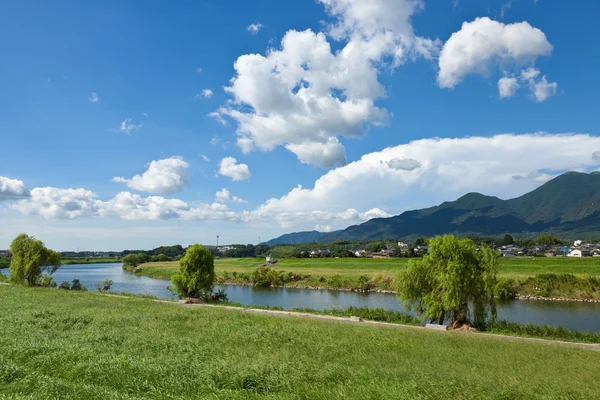 Paisagem ribeirinha de verão — Fotografia de Stock