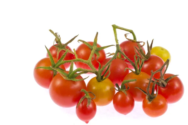 Pomodori ciliegia — Foto Stock