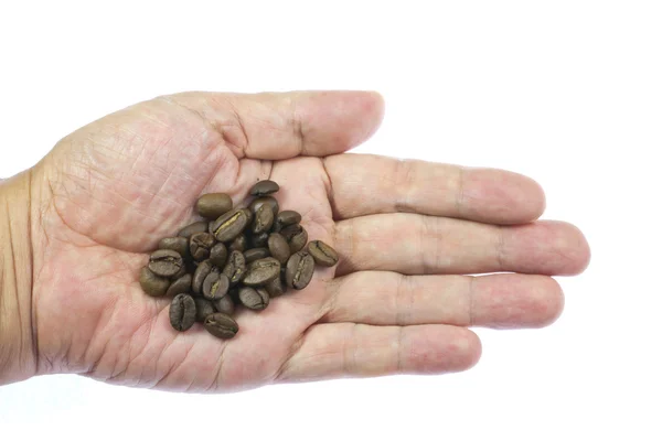 Granos de café encima de la palma — Foto de Stock