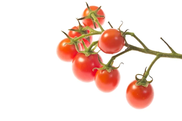 Tomates cereja — Fotografia de Stock