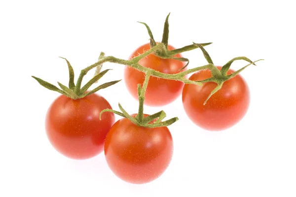 Tomates cereja — Fotografia de Stock