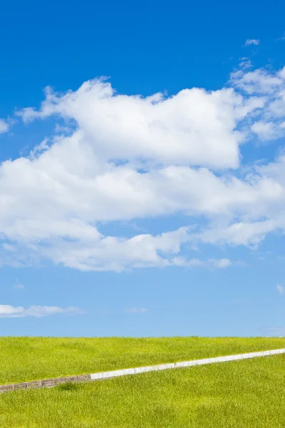 Äng och blå himmel — Stockfoto