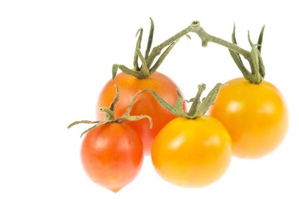 Tomates cereja — Fotografia de Stock