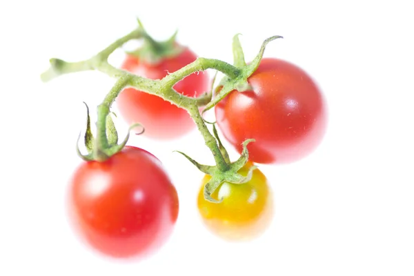 Tomates cereja — Fotografia de Stock