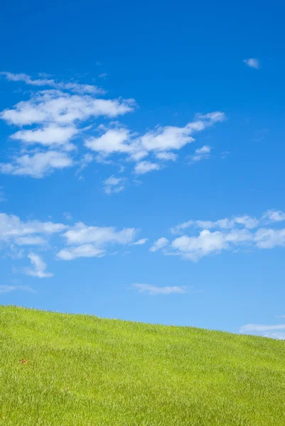 Pré et ciel bleu — Photo