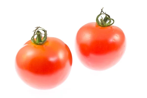 Reife Tomaten — Stockfoto