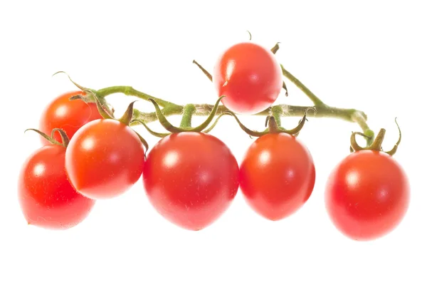 Tomates cereja — Fotografia de Stock