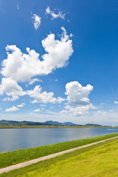 夏の川辺の風景 — ストック写真