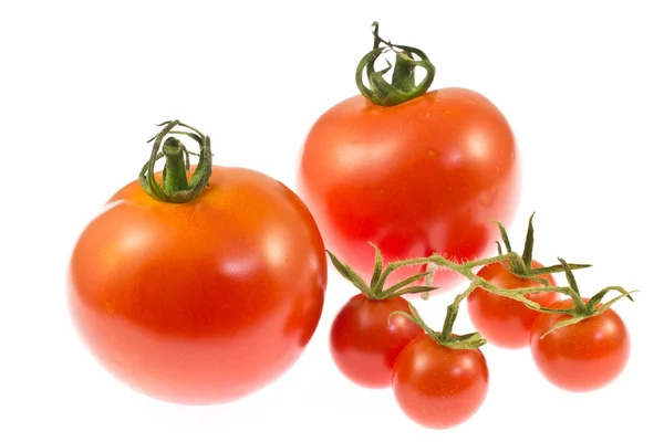 Tomates y tomates cherry — Foto de Stock