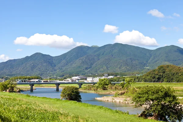 夏の川辺の風景 — ストック写真