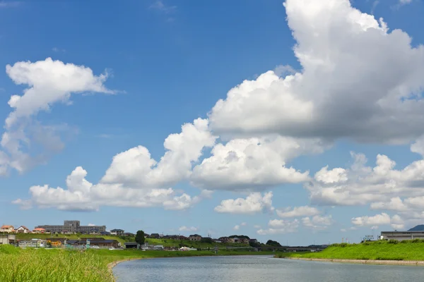 Paesaggio lungo il fiume d'estate — Foto Stock