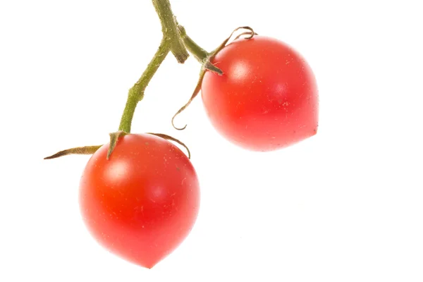 Kirschtomaten — Stockfoto