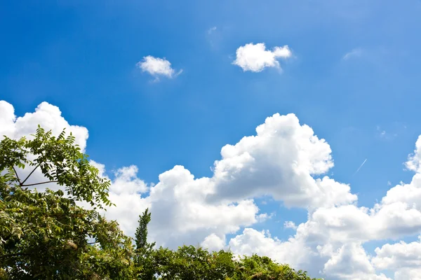 Himmel des Sommers — Stockfoto