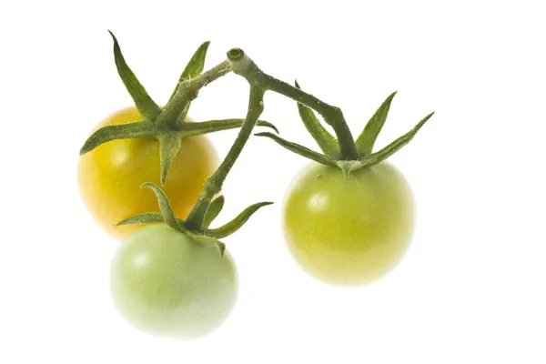 Tomates cereja — Fotografia de Stock