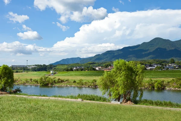 夏の川辺の風景 — ストック写真