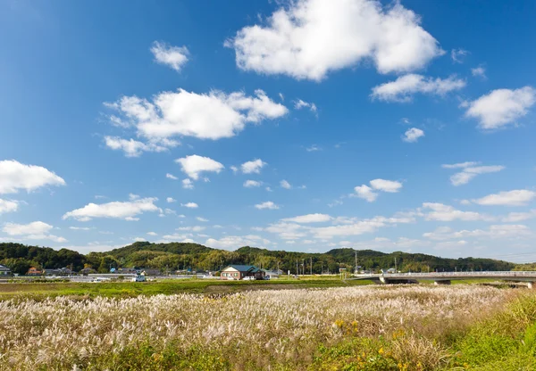 Landsbygdens landskap av hösten — Stockfoto