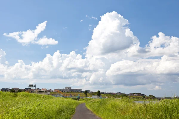 Sommarhimmel — Stockfoto