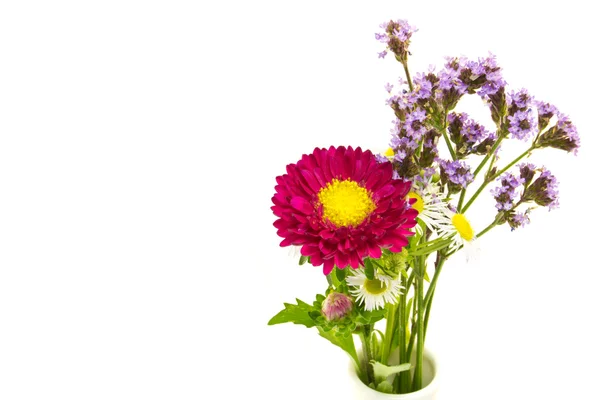 Aster und Wildblumen — Stockfoto