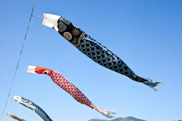 CARP streamer — Stockfoto