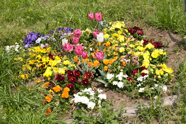 Blomsterrabatt — Stockfoto