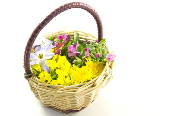 Flower Basket — Stock Photo, Image