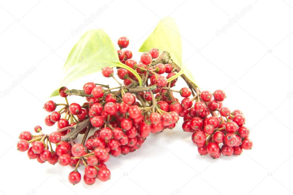 Small red fruits