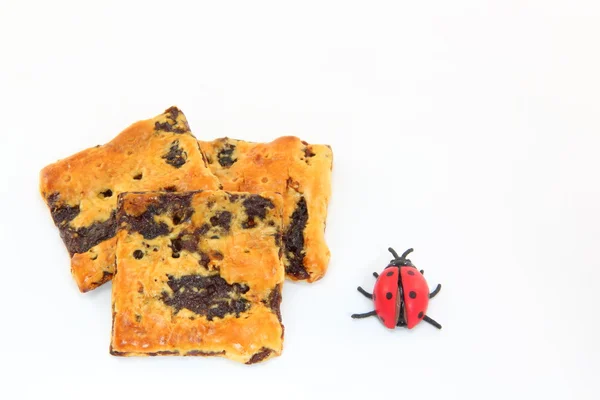 Cracker raisins and ladybug — Stock Photo, Image