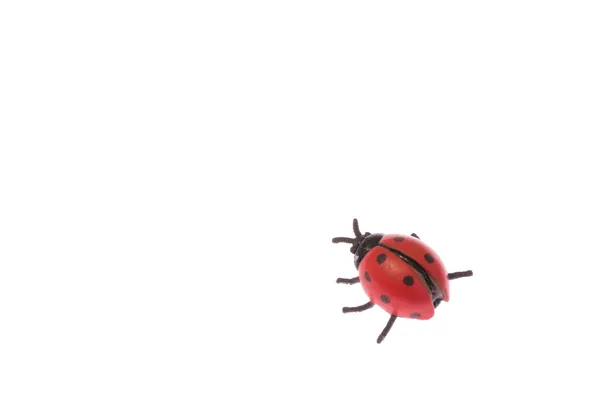 Replica van het lieveheersbeestje — Stockfoto