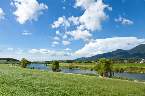 Paisagem ribeirinha de verão — Fotografia de Stock