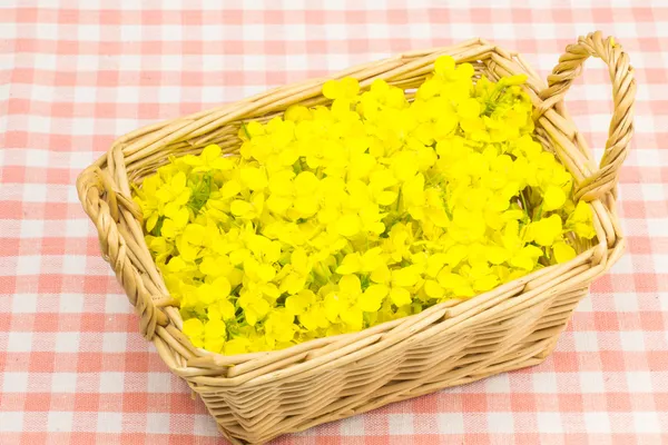 Flower of rape that was served in a basket — Stock Photo, Image