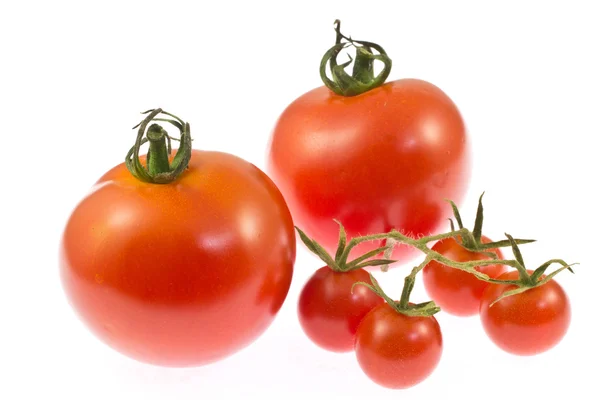Mini tomates y tomates —  Fotos de Stock
