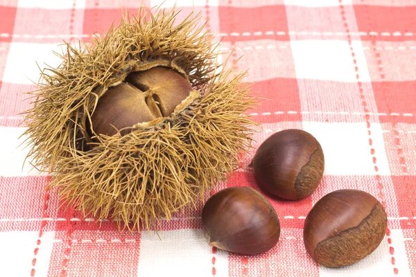 Chestnuts — Stock Photo, Image