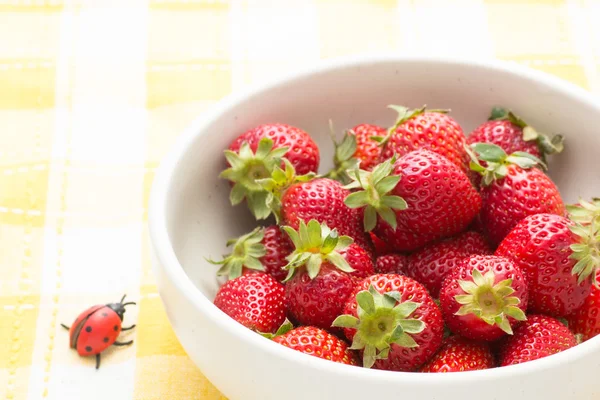 Strawberries in a bowl — Stock Photo, Image