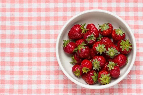 Erdbeeren in einer Schüssel und Marienkäfer — Stockfoto