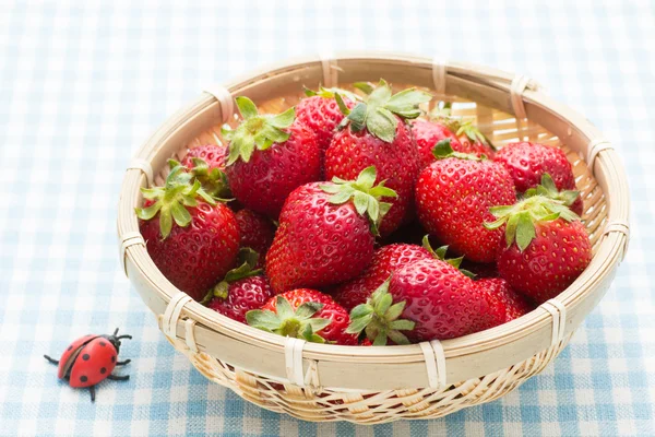 Strawberry — Stock Photo, Image