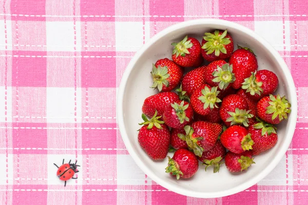 在碗里，瓢虫草莓 — 图库照片